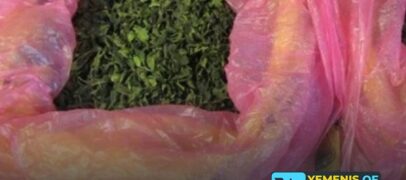 ضبط 18 باوندا من القات المهرب عبر الحدود الأميركية الكندية