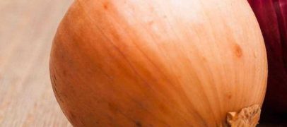 السالمونيا تجتاح أميركا وتحذيرات جديدة من تناول البصل